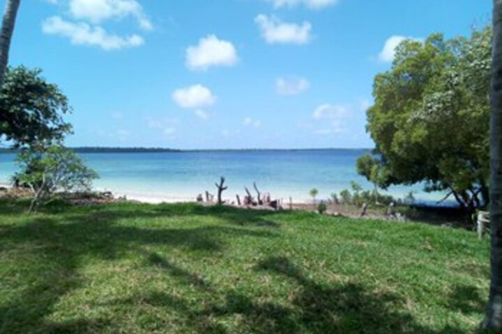 Beach 10 of 40