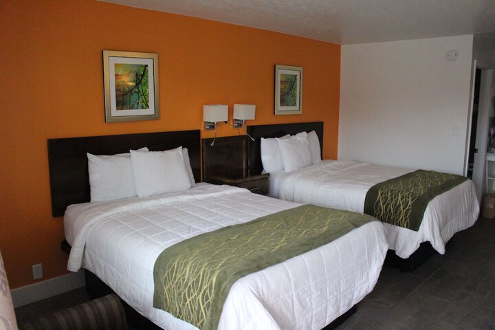2 Queen Beds (1 of 10)