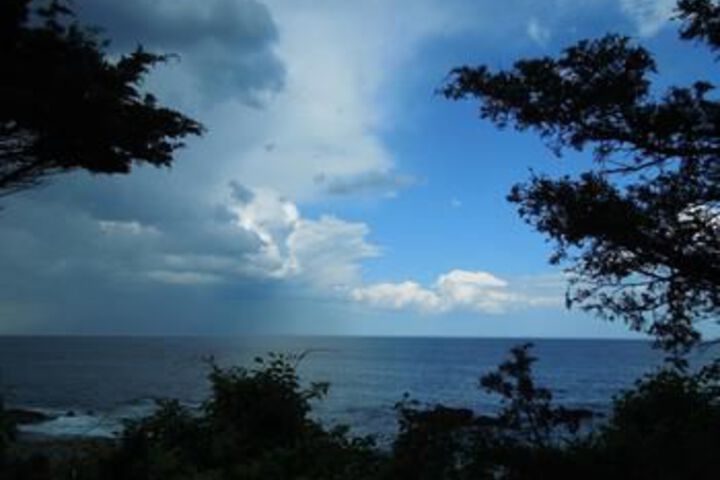 Beach or Ocean View