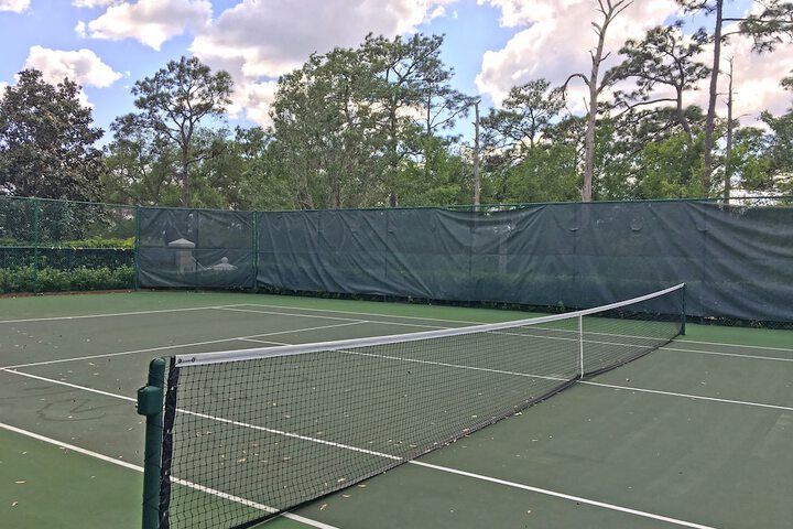 Tennis court