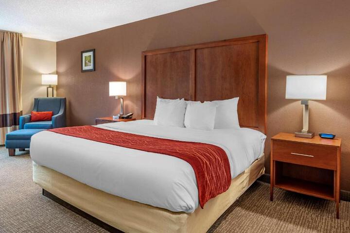 1 King Bed (6 of 19)