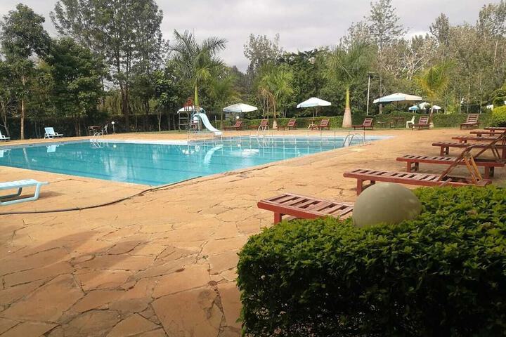 Pool 8 of 19