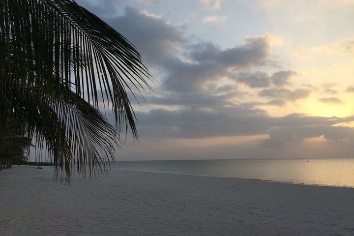 Beach 84 of 138