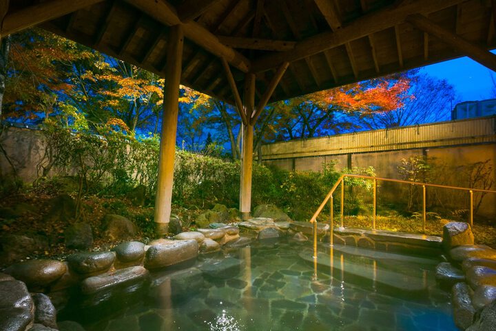 Wellness Treatments