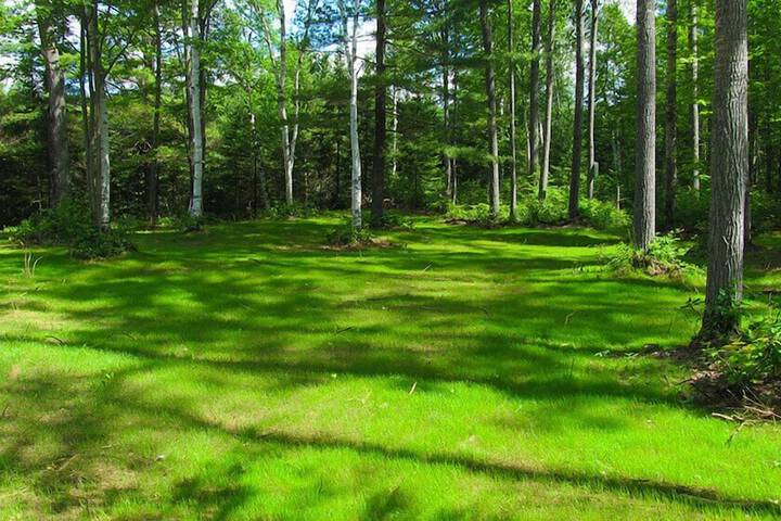 Property Grounds 62 of 80