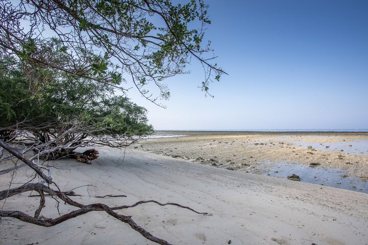 Beach 58 of 74