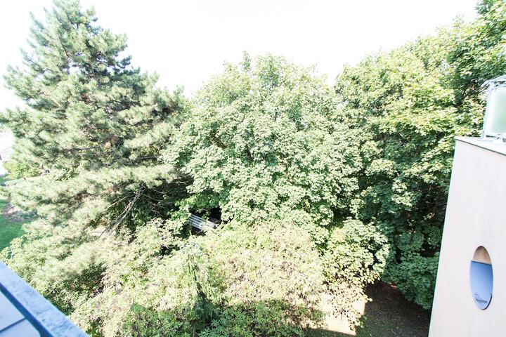 surroundings
