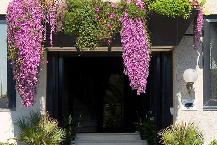 Hotel 56 of 62