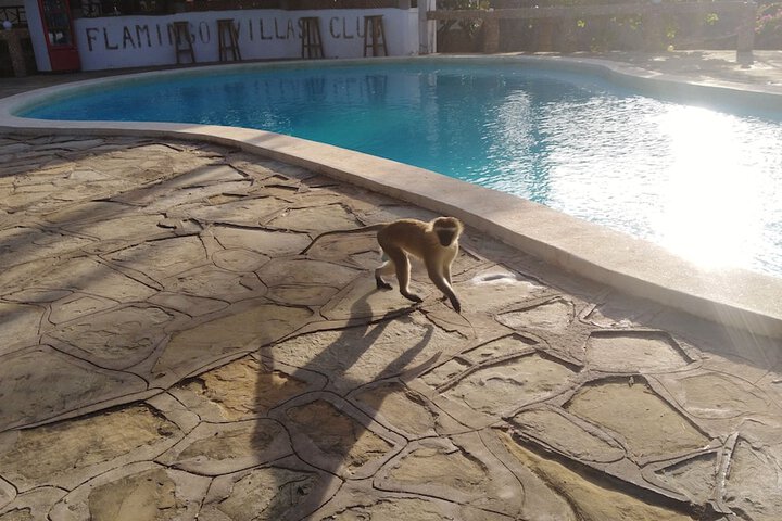 Pool Hotel