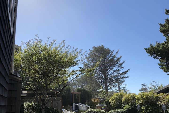 Property Grounds 82 of 93