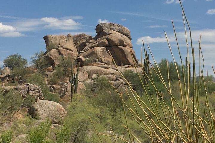 Desert view
