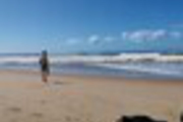 Beach 203 of 267