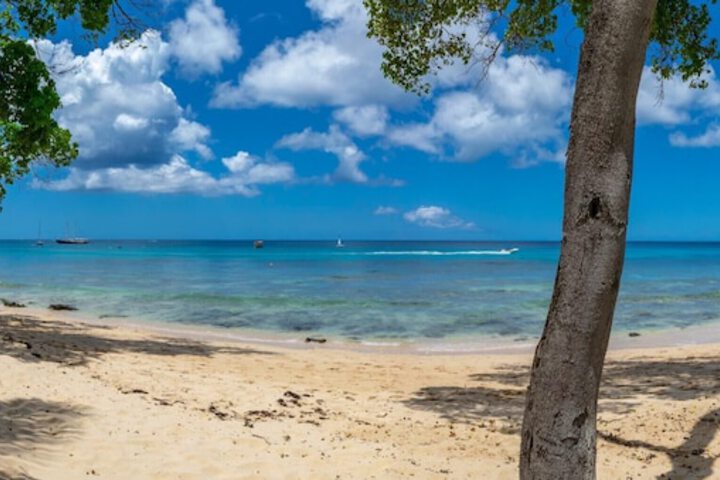 Beach 14 of 20