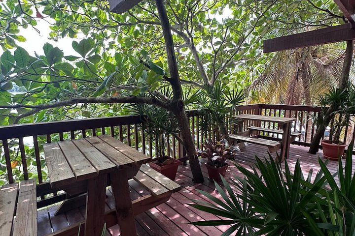 Terrace/Patio 14 of 34