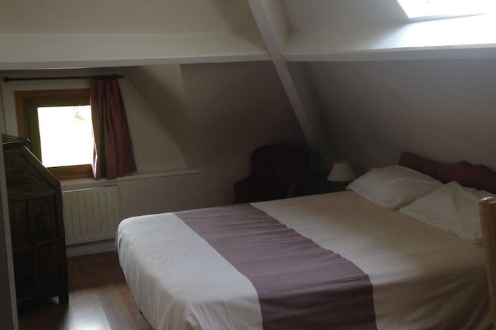 Room 5 of 54
