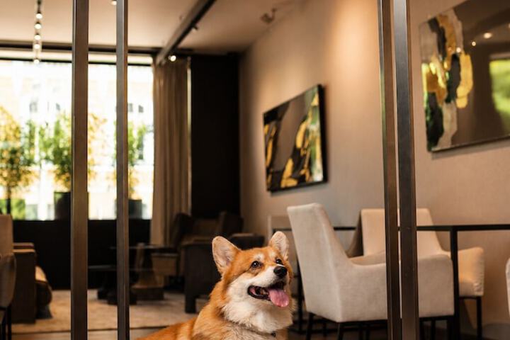 Hotel Lobby