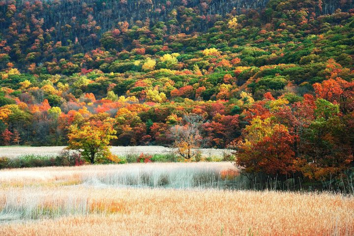 Land view from property