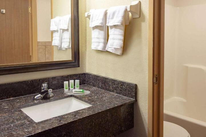 1 Queen Bed Accessible Room (6 of 7)