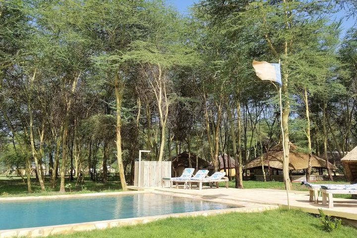 Pool 49 of 104