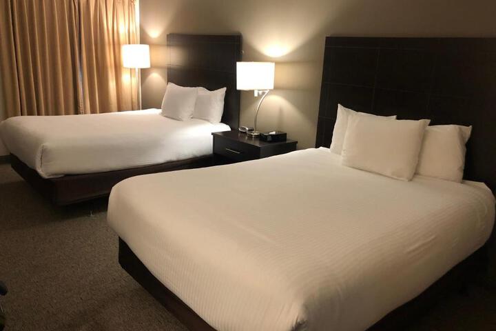 1 Queen Bed Mobility Accessible (13 of 14)