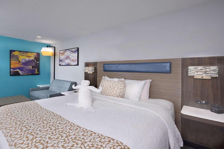 Standard | King Bed (2 of 31)