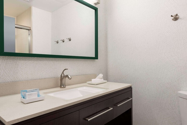 1 King Mobilty Hearing Accessible Roll in Shower Suite (6 of 8)