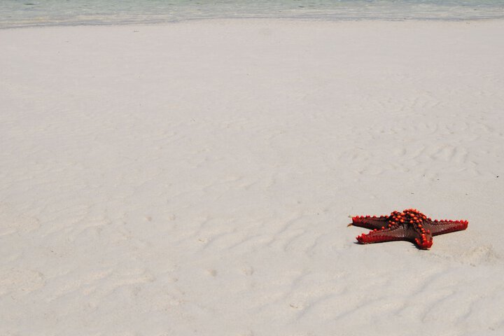 Beach 90 of 138