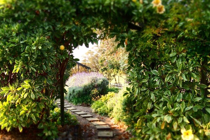 Hotel Exterior 31 of 36