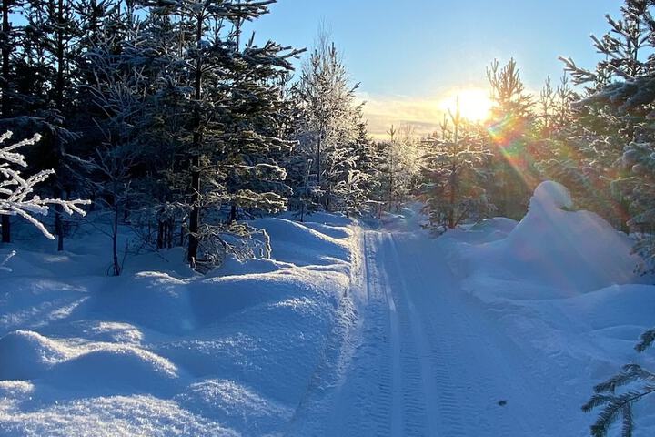 Skiing