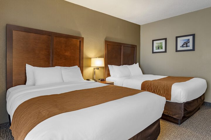 2 Queen Beds (1 of 10)