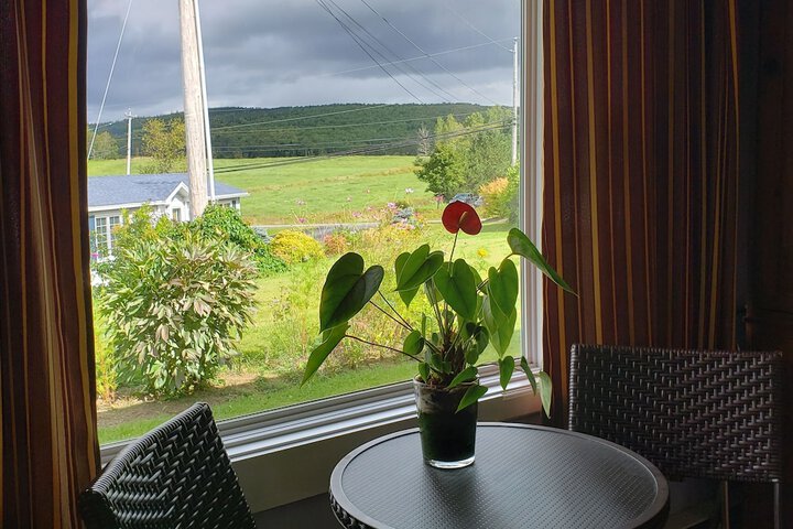 Room 21 of 40