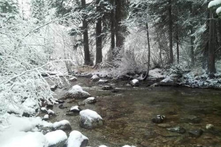 Property Grounds 25 of 45