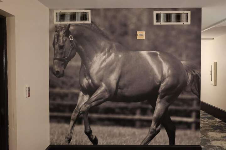 General 54 of 154