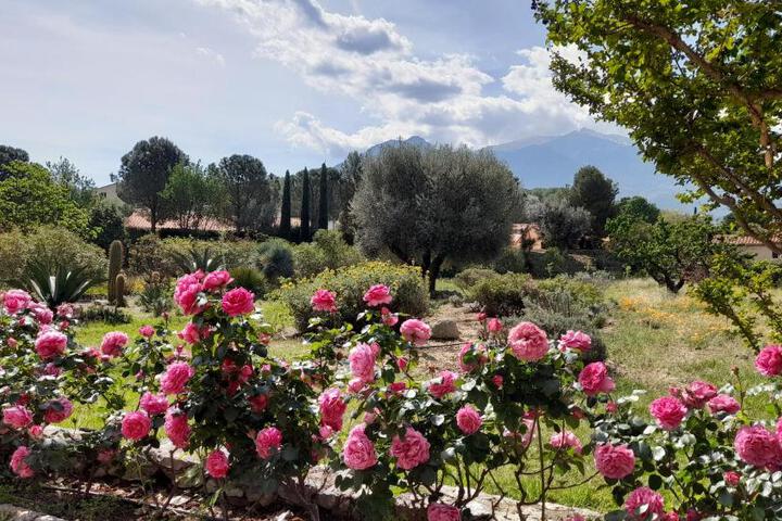 Spa and Wellness Pictures