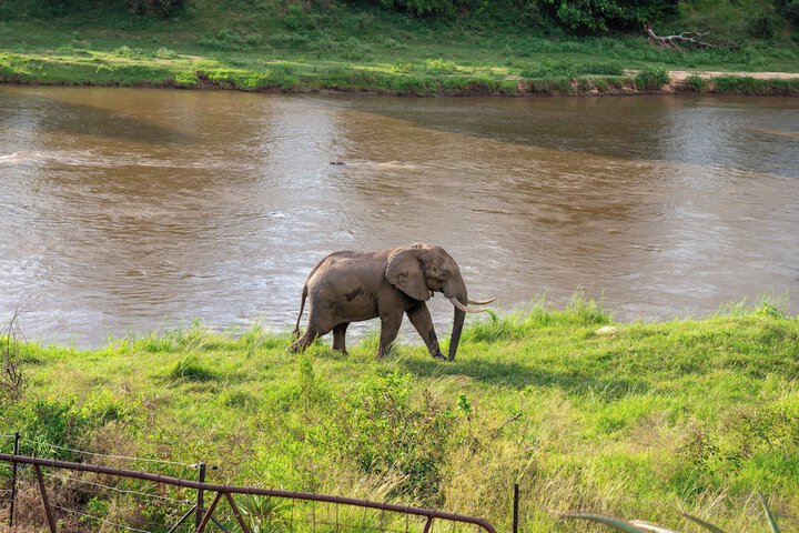 Game viewing
