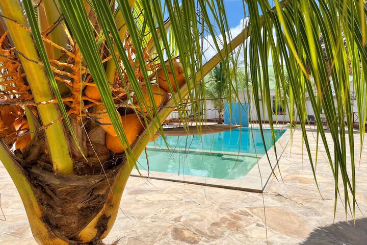 Pool 29 of 46