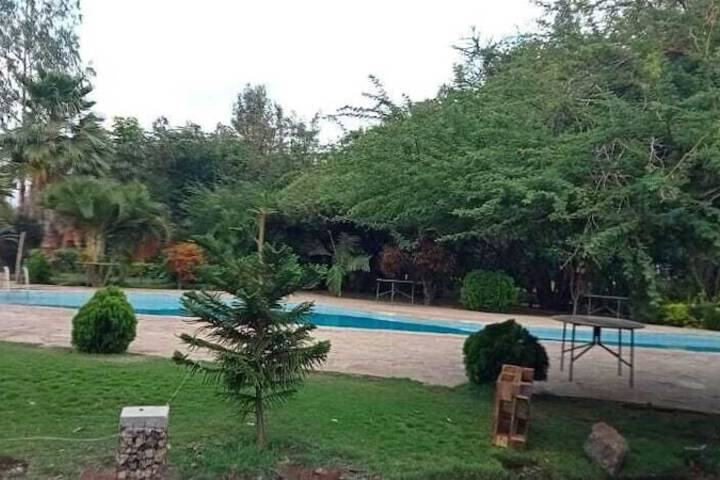 Pool 15 of 52