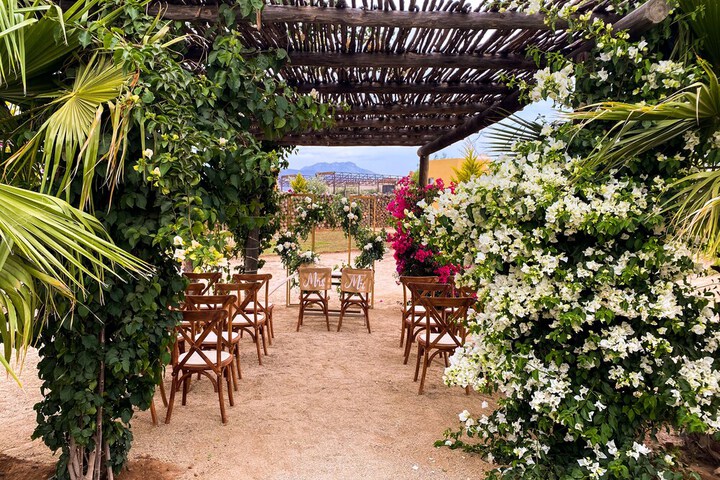 Wedding/Banquet 85 of 107