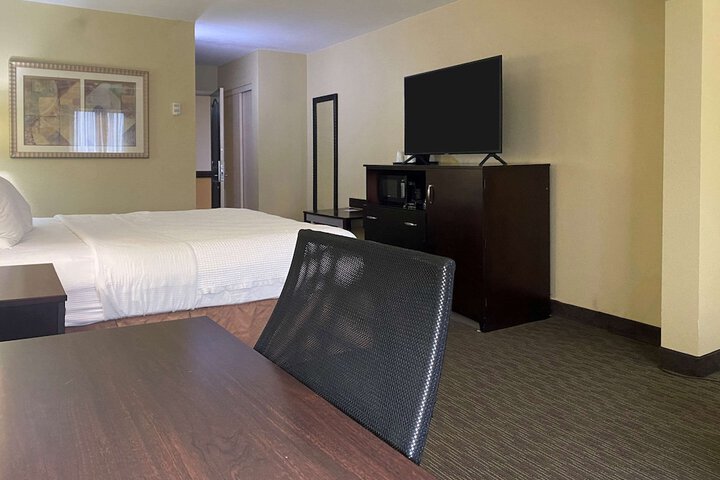 1 King Bed Suite (9 of 25)