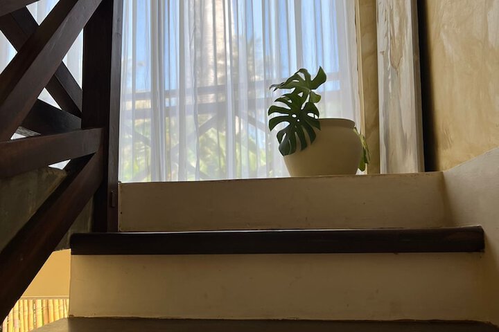 Room 14 of 29