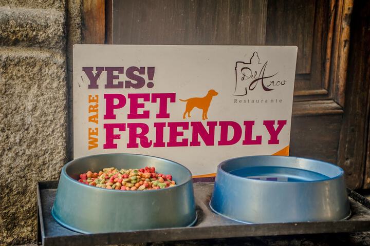 Pet Friendly 34 of 62