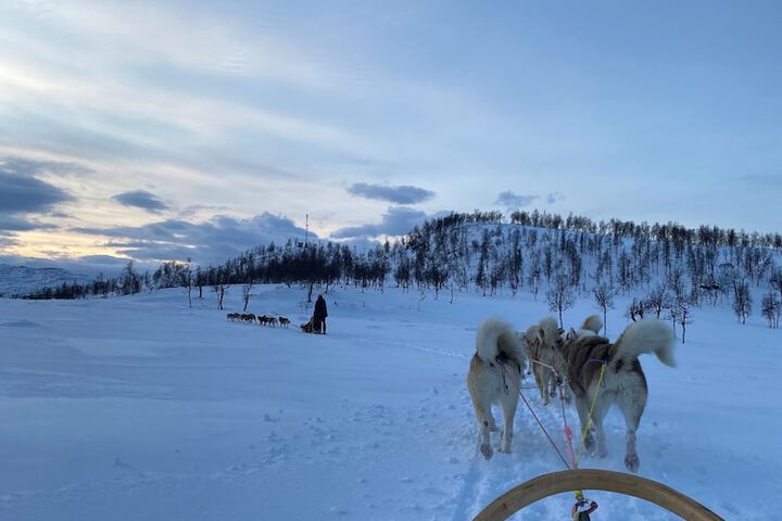 Sledding
