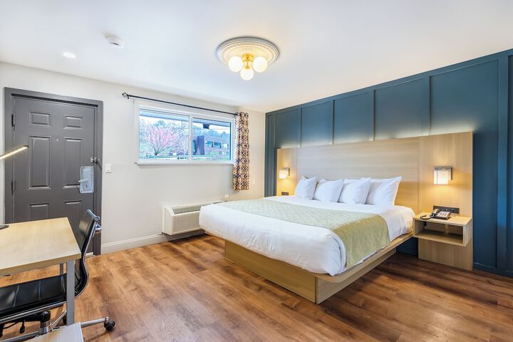 Standard | King Bed (4 of 14)