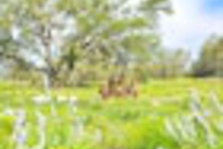 Hotel View 452 of 459