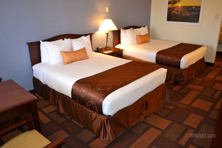 1 King Bed (3 of 11)