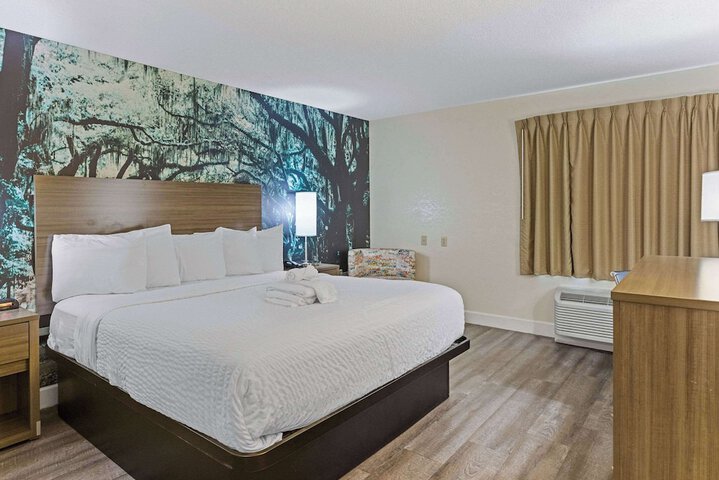 1 King Bed (15 of 17)