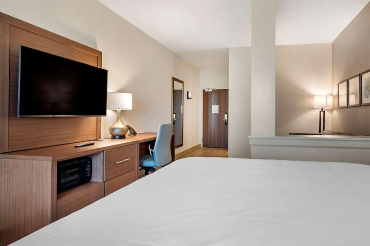 1 King Bed Suite (9 of 23)