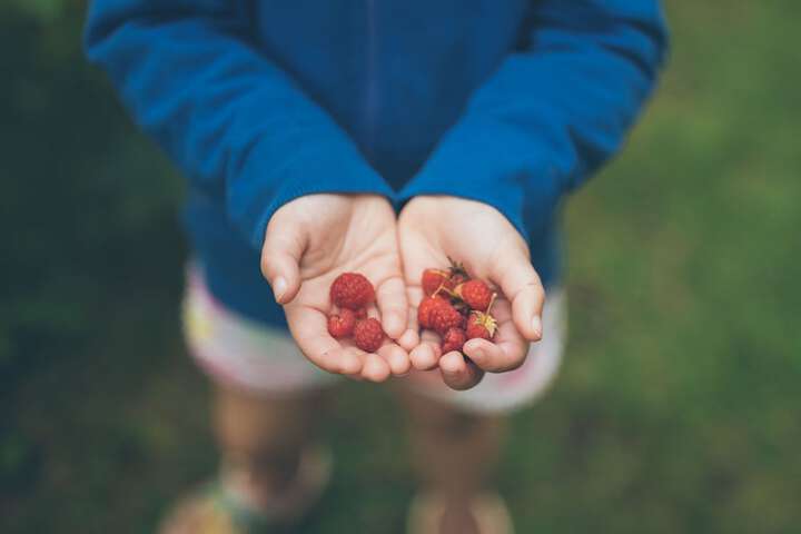 Outdoor Activities 40 of 69