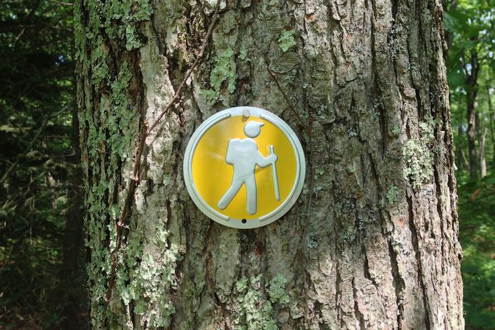 Water Sports 45 of 68