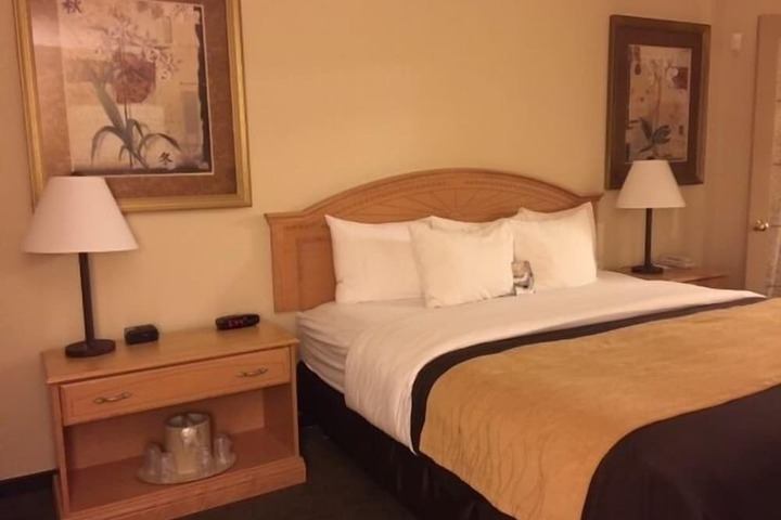 Room 8 of 54